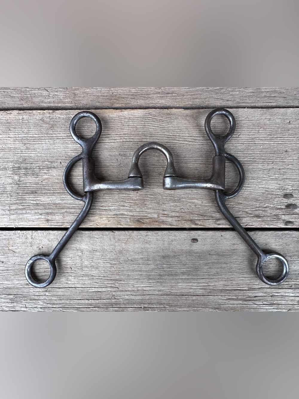 Horse Tack - 5” Dutton Correction Port Western Bit